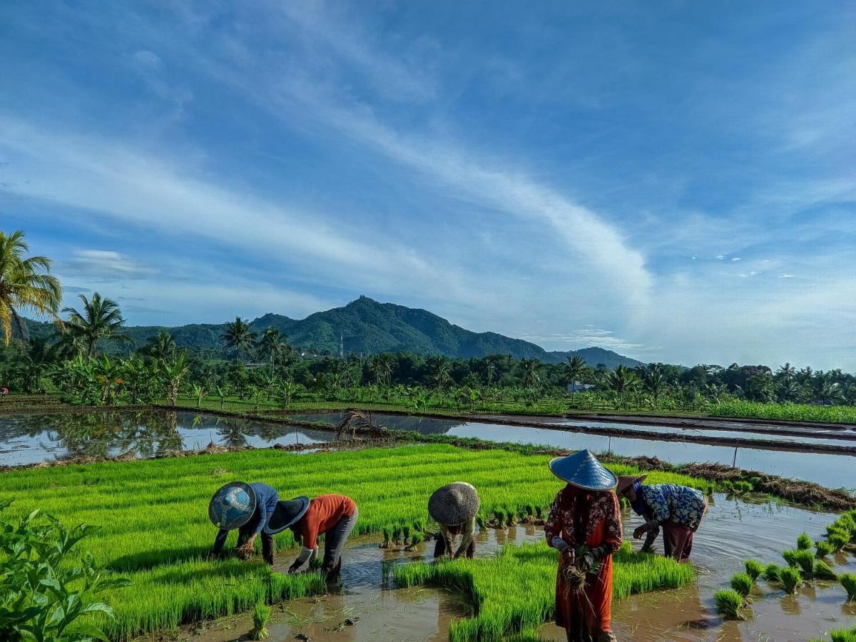 Farmstay Manangel Sindanglaka Exterior foto